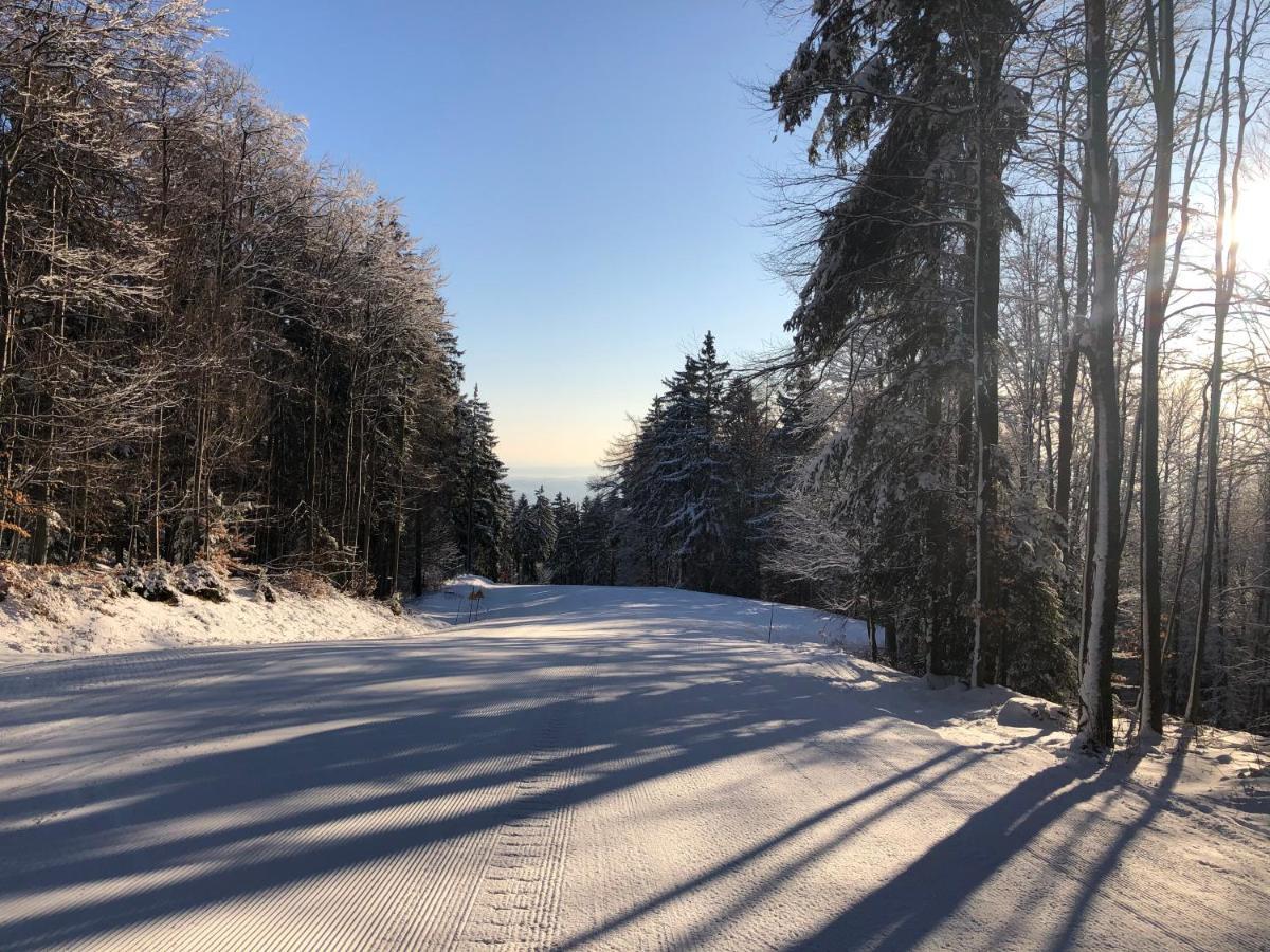 Chalet Anra Pohorje Zgornje Hoce Luaran gambar