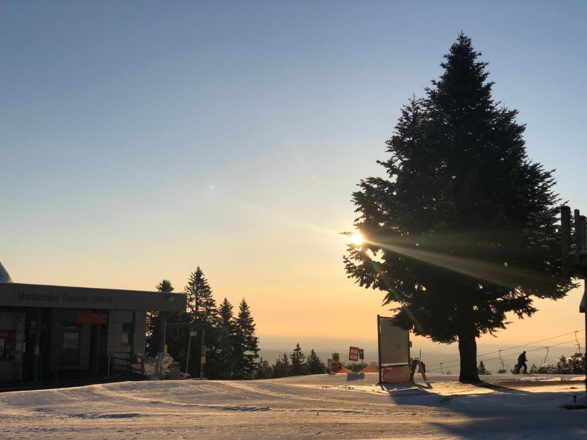 Chalet Anra Pohorje Zgornje Hoce Luaran gambar