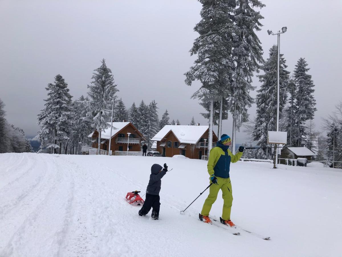 Chalet Anra Pohorje Zgornje Hoce Luaran gambar