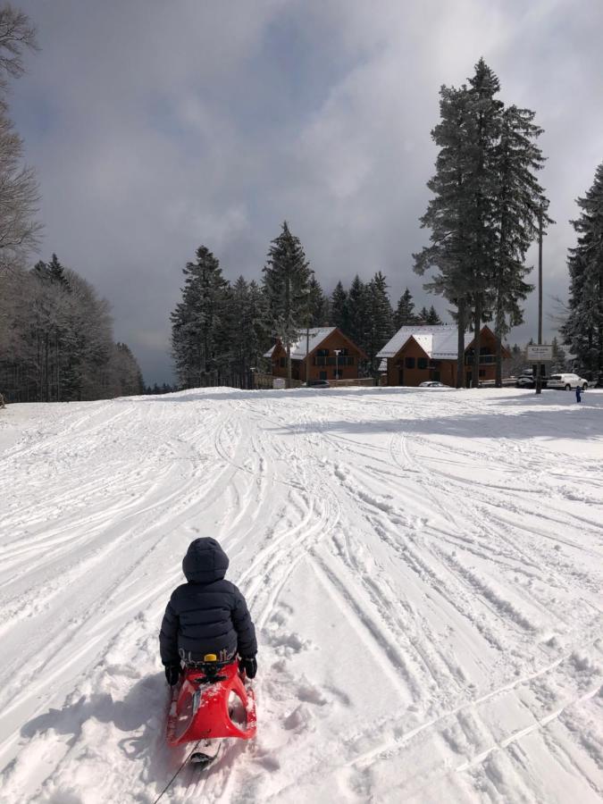Chalet Anra Pohorje Zgornje Hoce Luaran gambar