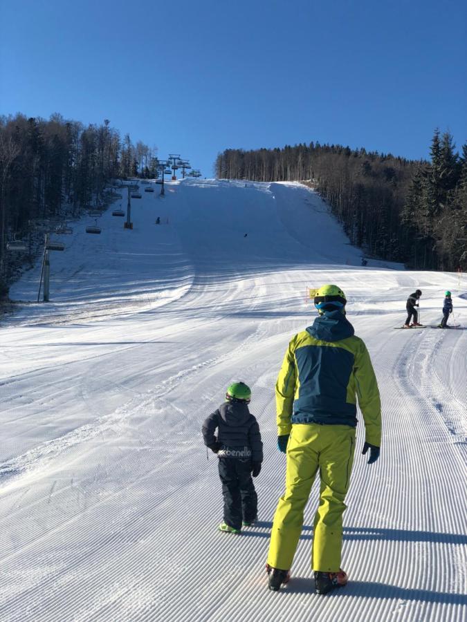 Chalet Anra Pohorje Zgornje Hoce Luaran gambar