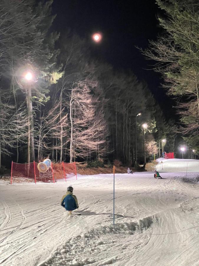 Chalet Anra Pohorje Zgornje Hoce Luaran gambar
