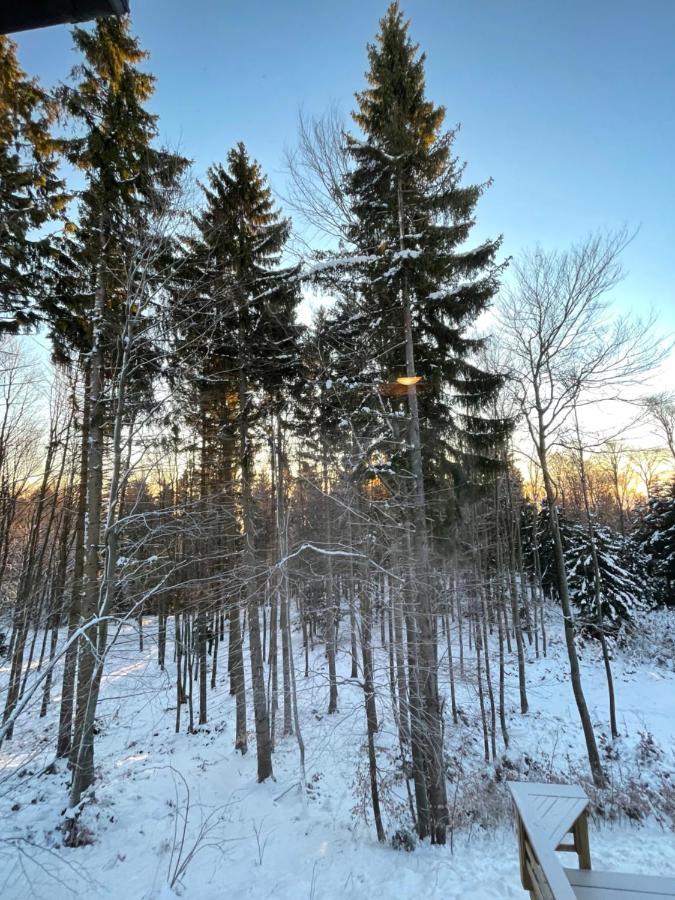 Chalet Anra Pohorje Zgornje Hoce Luaran gambar