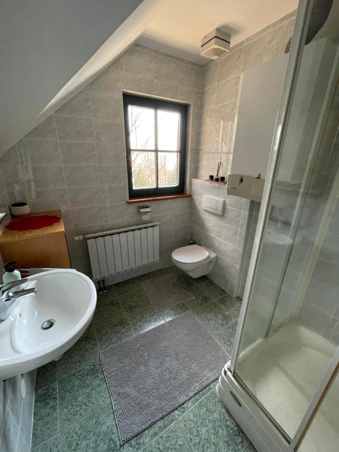 Chalet Anra Pohorje Zgornje Hoce Luaran gambar