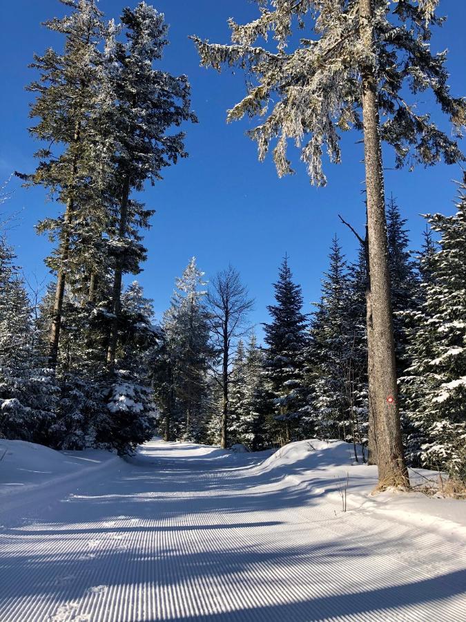 Chalet Anra Pohorje Zgornje Hoce Luaran gambar