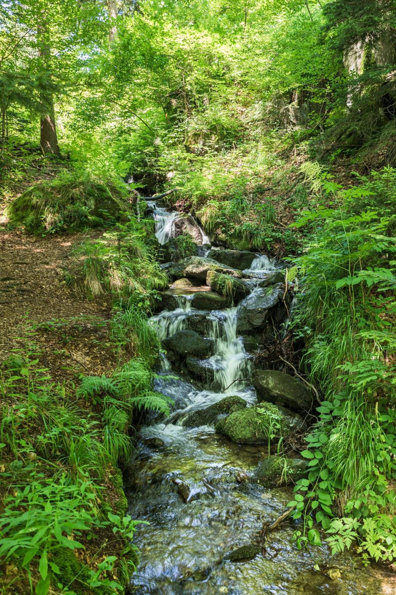 Chalet Anra Pohorje Zgornje Hoce Luaran gambar