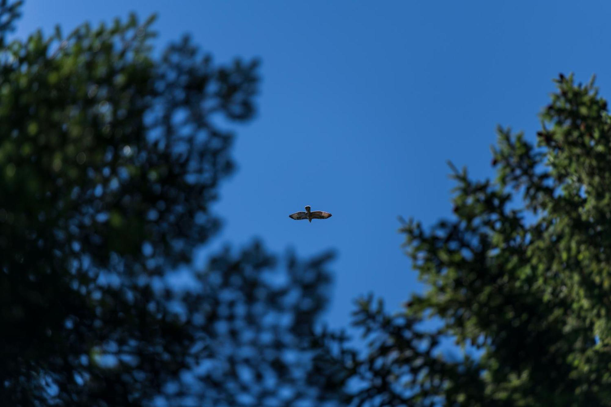 Chalet Anra Pohorje Zgornje Hoce Luaran gambar