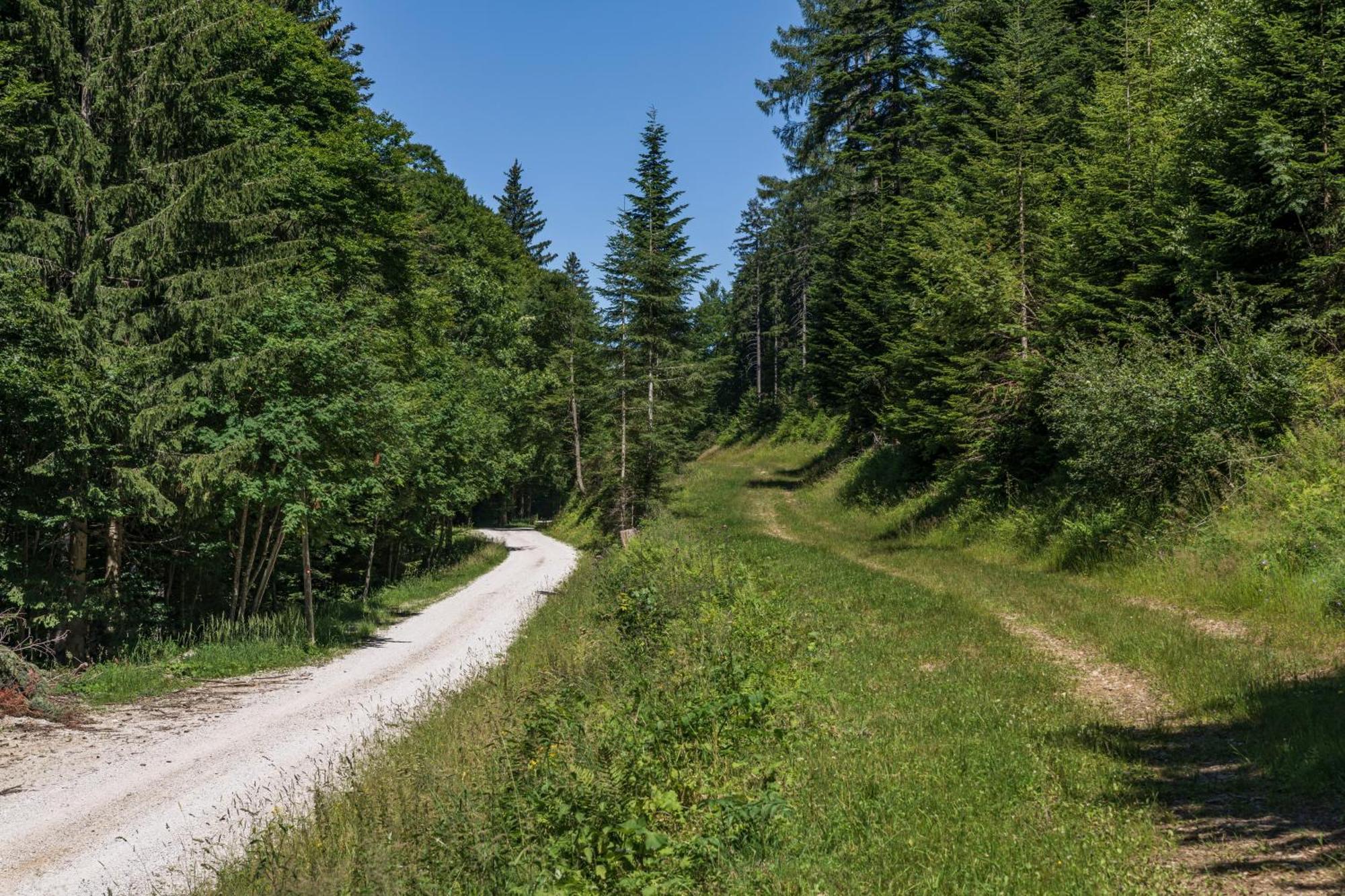 Chalet Anra Pohorje Zgornje Hoce Luaran gambar